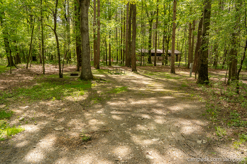 Campsite Photo of Site 24 at Watkins Glen State Park, New York - Looking at Site from Road