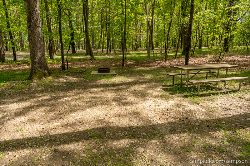 Campsite Photo of Site 24 at Watkins Glen State Park, New York - Cross Site View