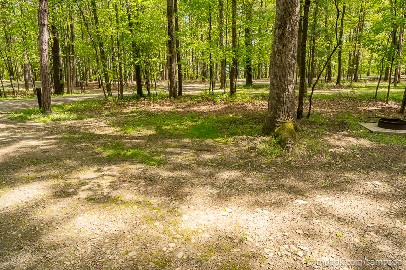Campsite Photo of Site 24 at Watkins Glen State Park, New York - Cross Site View