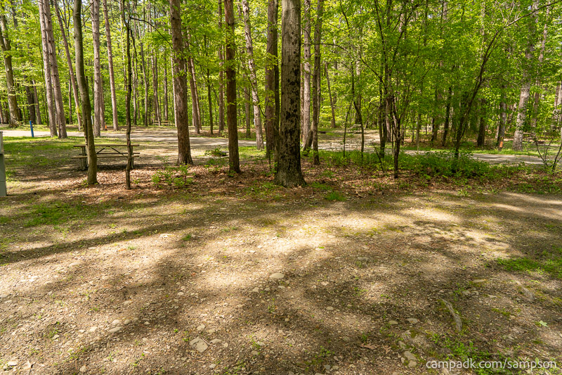 Campsite Photo of Site 24 at Watkins Glen State Park, New York - Cross Site View