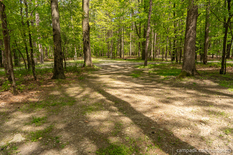 Campsite Photo of Site 24 at Watkins Glen State Park, New York - Looking Back Towards Road