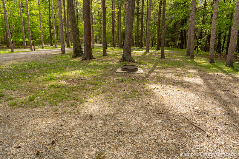 Campsite Photo of Site 88 at Watkins Glen State Park, New York - Cross Site View