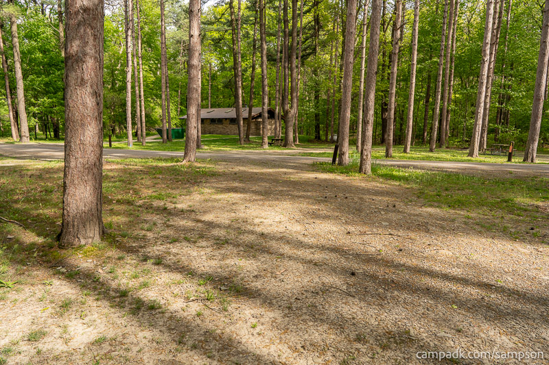 Campsite Photo of Site 88 at Watkins Glen State Park, New York - Looking Back Towards Road