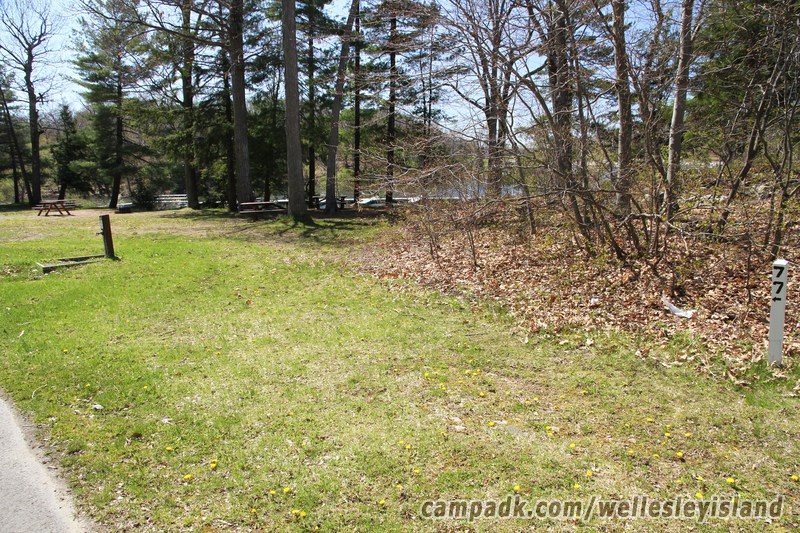 Campsite Photo of Site 77 at Wellesley Island State Park, New York - Looking at Site from Road Sign Visible