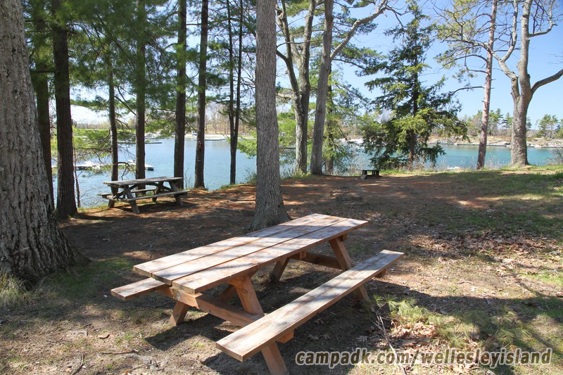 Campsite Photo of Site 77 at Wellesley Island State Park, New York - Looking at Site from Part Way In