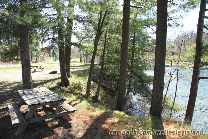 Campsite Photo of Site 77 at Wellesley Island State Park, New York - Shoreline