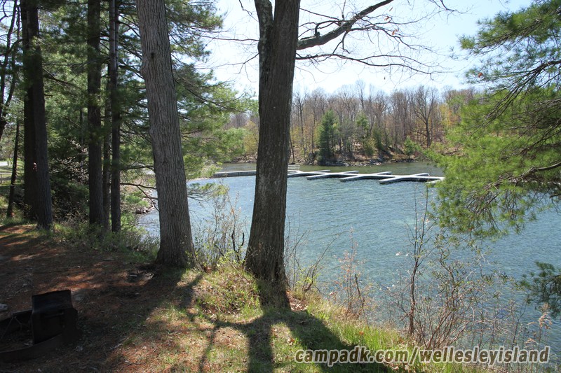Campsite Photo of Site 77 at Wellesley Island State Park, New York - Fireplace View