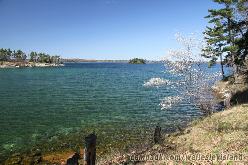 Campsite Photo of Site 77 at Wellesley Island State Park, New York - View from Shoreline