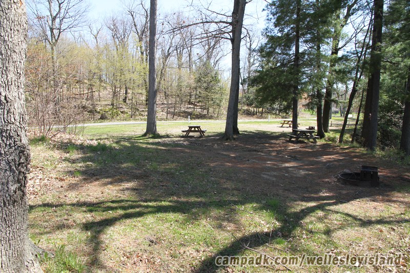 Campsite Photo of Site 77 at Wellesley Island State Park, New York - Looking Back Towards Road