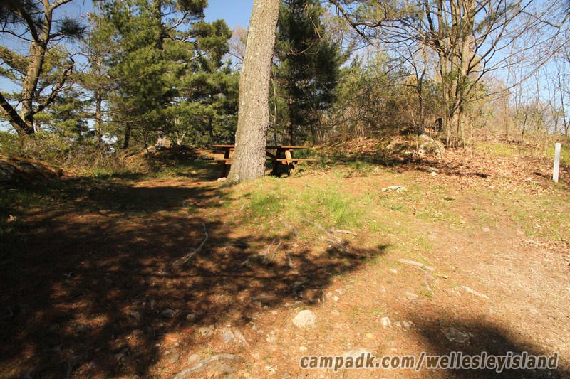 Campsite Photo of Site 19 at Wellesley Island State Park, New York - Looking at Site from Road