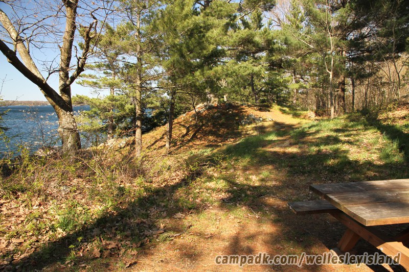Campsite Photo of Site 19 at Wellesley Island State Park, New York - Looking at Site from Part Way In