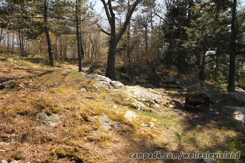 Campsite Photo of Site 19 at Wellesley Island State Park, New York - Returning Along Pathway from Water