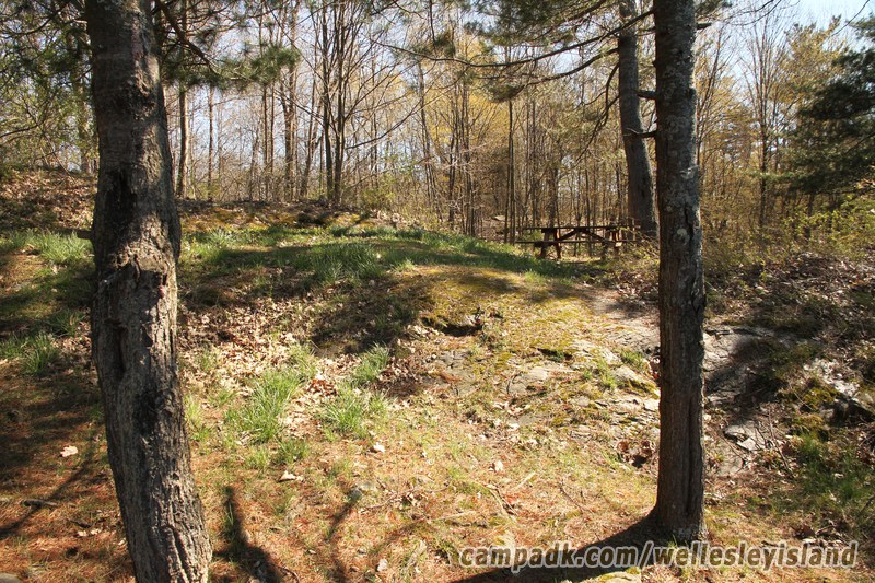 Campsite Photo of Site 19 at Wellesley Island State Park, New York - Returning Along Pathway from Water