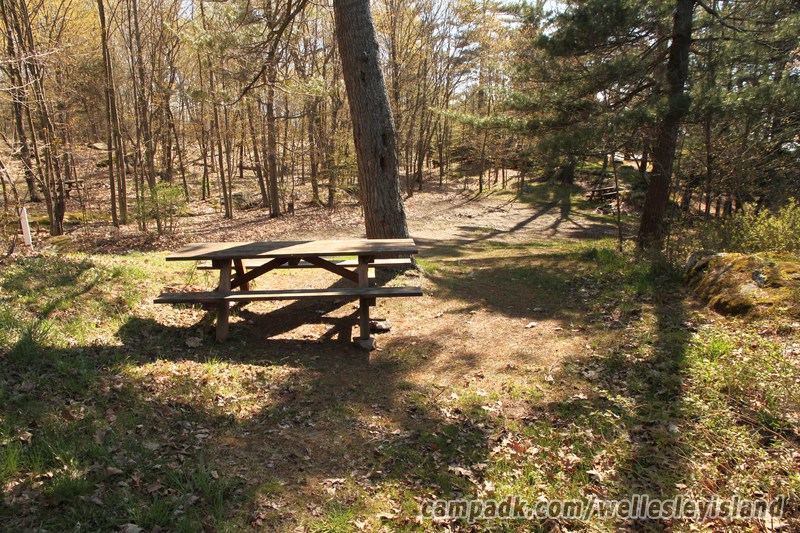 Campsite Photo of Site 19 at Wellesley Island State Park, New York - Looking Back Towards Road