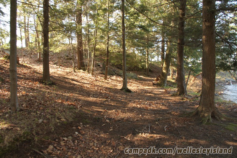Campsite Photo of Site 19 at Wellesley Island State Park, New York - Looking at Site from Part Way In