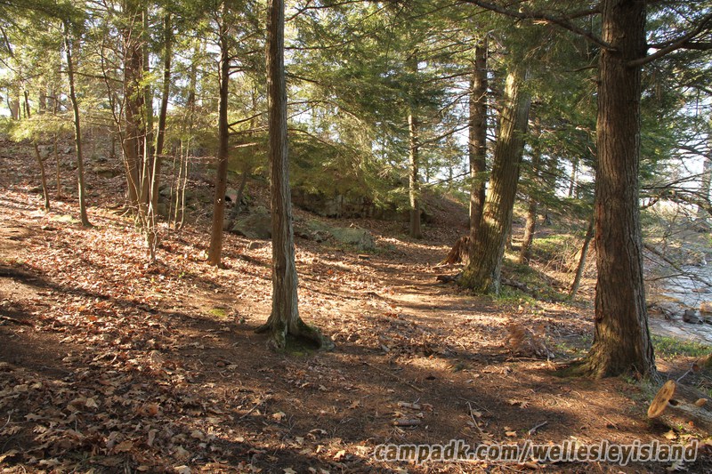 Campsite Photo of Site 19 at Wellesley Island State Park, New York - Looking at Site from Part Way In
