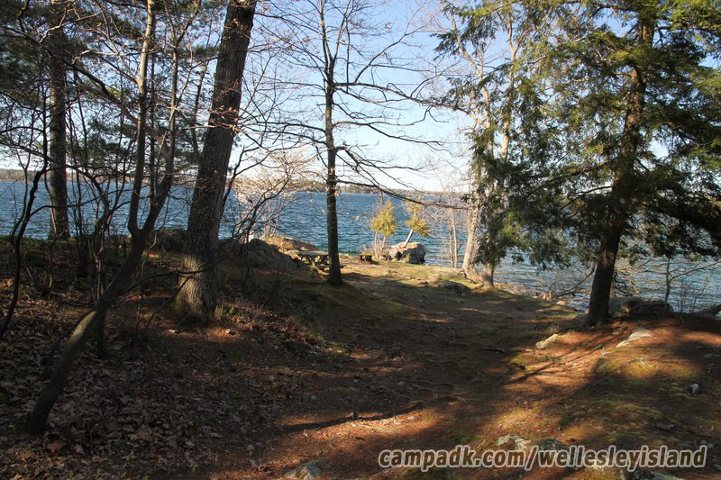 Campsite Photo of Site 19 at Wellesley Island State Park, New York - Looking at Site from Part Way In