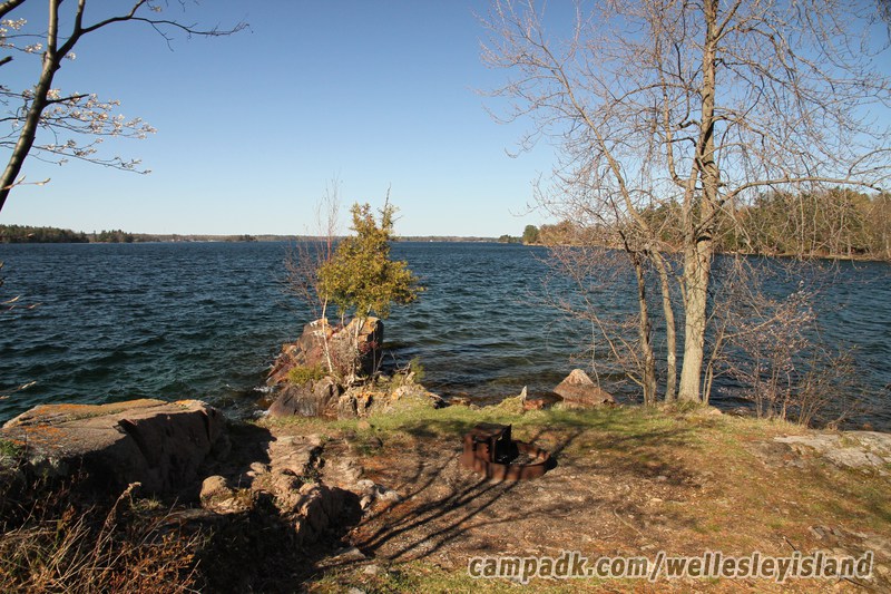 Campsite Photo of Site 19 at Wellesley Island State Park, New York - Fireplace View