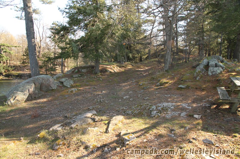 Campsite Photo of Site 19 at Wellesley Island State Park, New York - Returning Along Pathway from Water