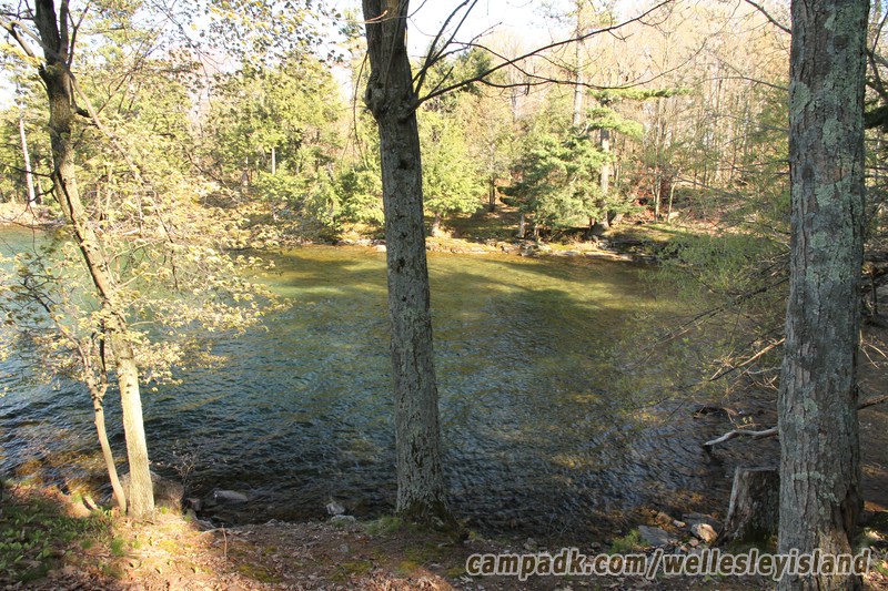 Campsite Photo of Site 19 at Wellesley Island State Park, New York - Returning Along Pathway from Water