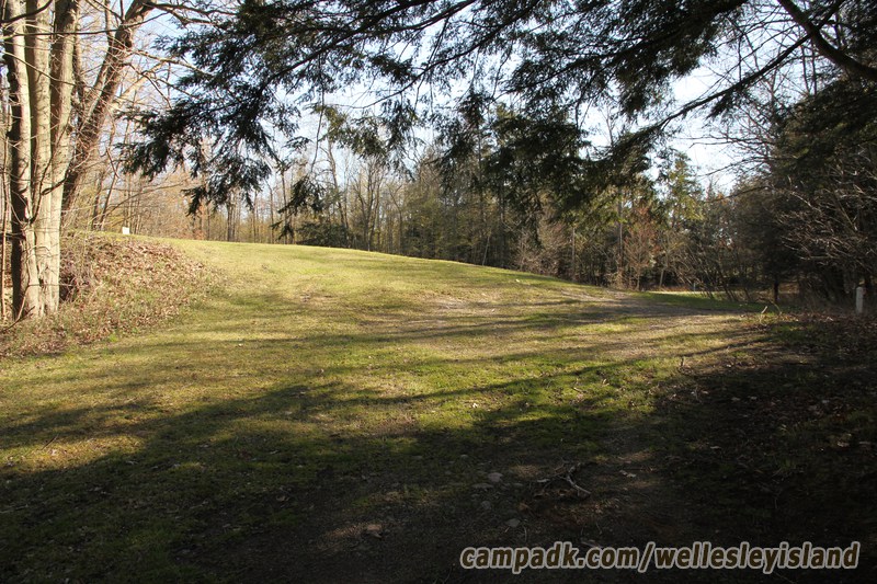 Campsite Photo of Site 19 at Wellesley Island State Park, New York - Looking Back Towards Road