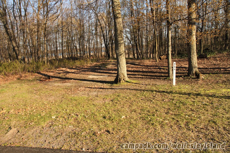 Campsite Photo of Site 77 at Wellesley Island State Park, New York - Looking at Site from Road Sign Visible