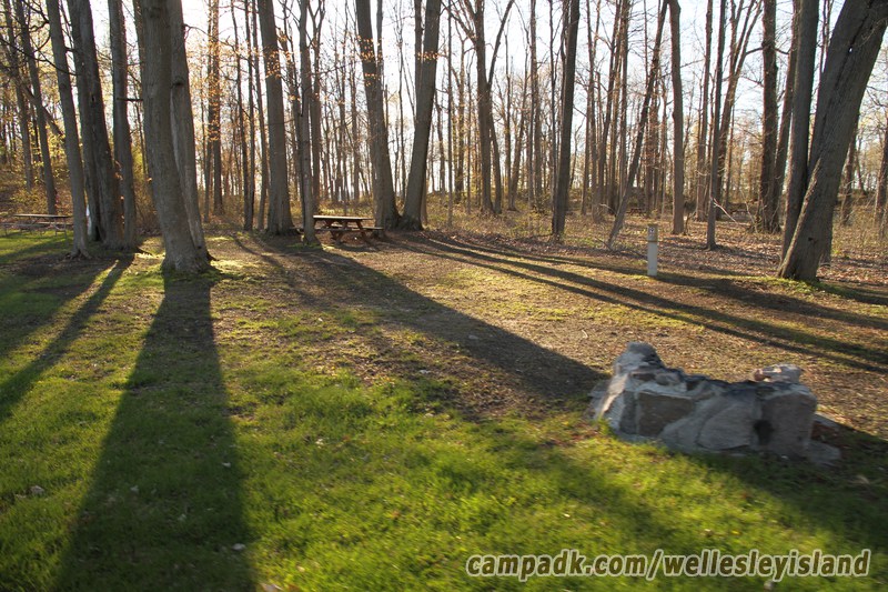 Campsite Photo of Site 19 at Wellesley Island State Park, New York - Looking at Site from Road Sign Visible