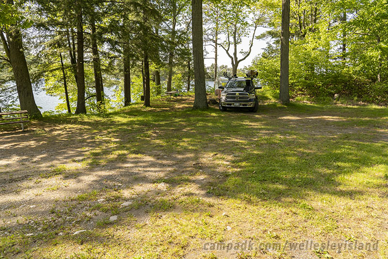 Campsite Photo of Site 77 at Wellesley Island State Park, New York - Looking at Site from Road