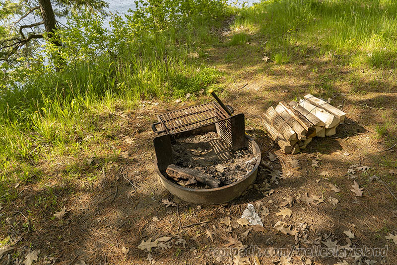 Campsite Photo of Site 77 at Wellesley Island State Park, New York - Fireplace View