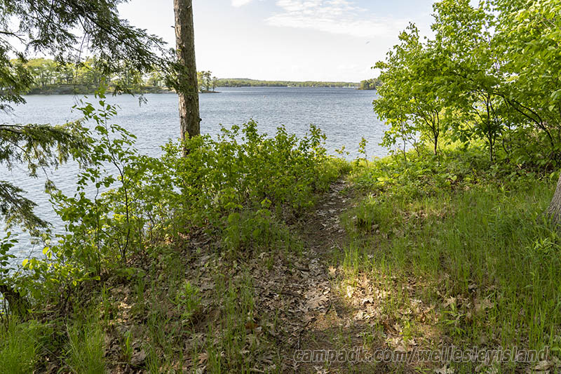 Campsite Photo of Site 77 at Wellesley Island State Park, New York - Pathway Down to Water