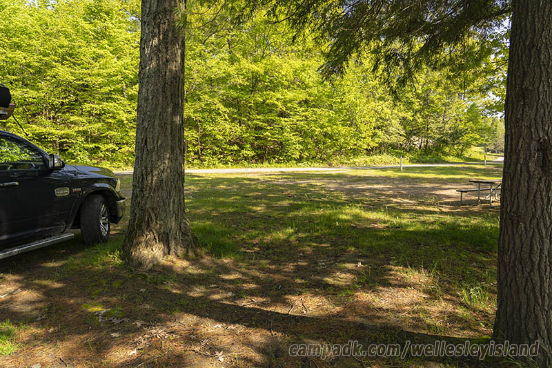 Campsite Photo of Site 77 at Wellesley Island State Park, New York - Looking Back Towards Road