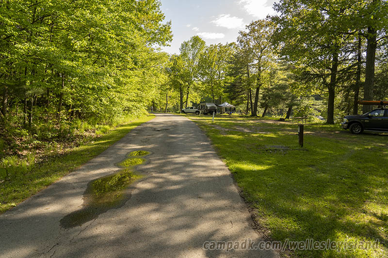 Campsite Photo of Site 77 at Wellesley Island State Park, New York - View Down Road from Campsite