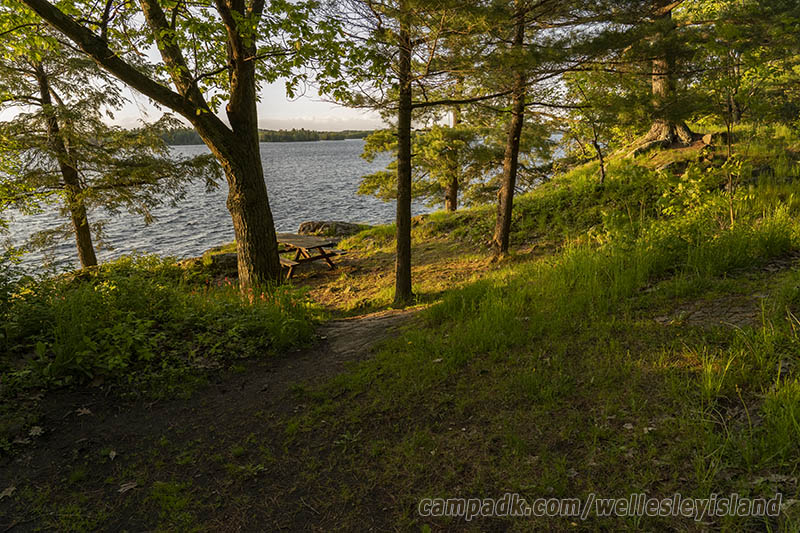 Campsite Photo of Site 19 at Wellesley Island State Park, New York - Looking at Site from Part Way In