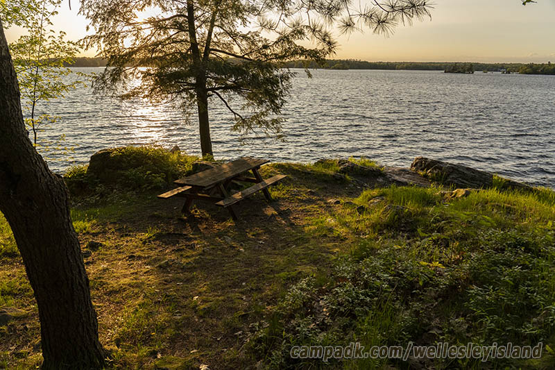 Campsite Photo of Site 19 at Wellesley Island State Park, New York - Cross Site View