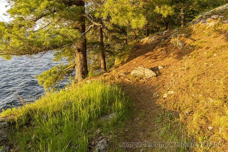 Campsite Photo of Site 19 at Wellesley Island State Park, New York - Cross Site View
