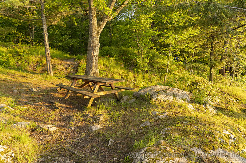 Campsite Photo of Site 19 at Wellesley Island State Park, New York - Cross Site View