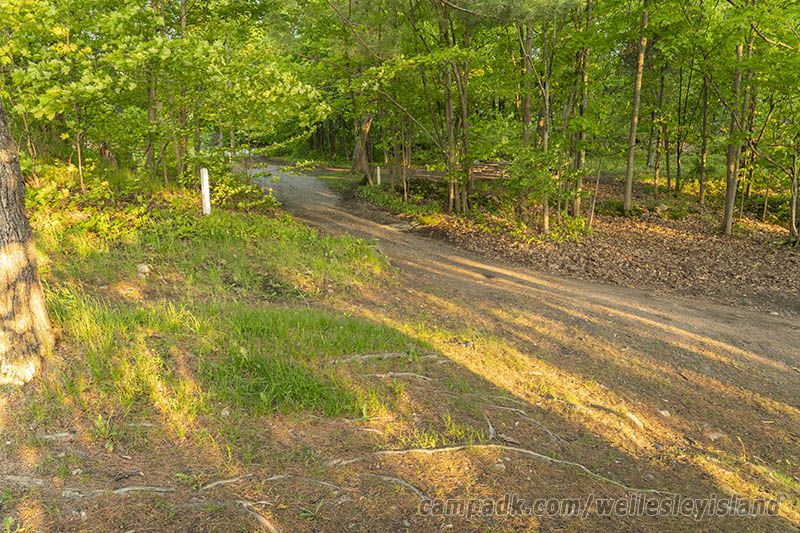 Campsite Photo of Site 19 at Wellesley Island State Park, New York - Looking Back Towards Road
