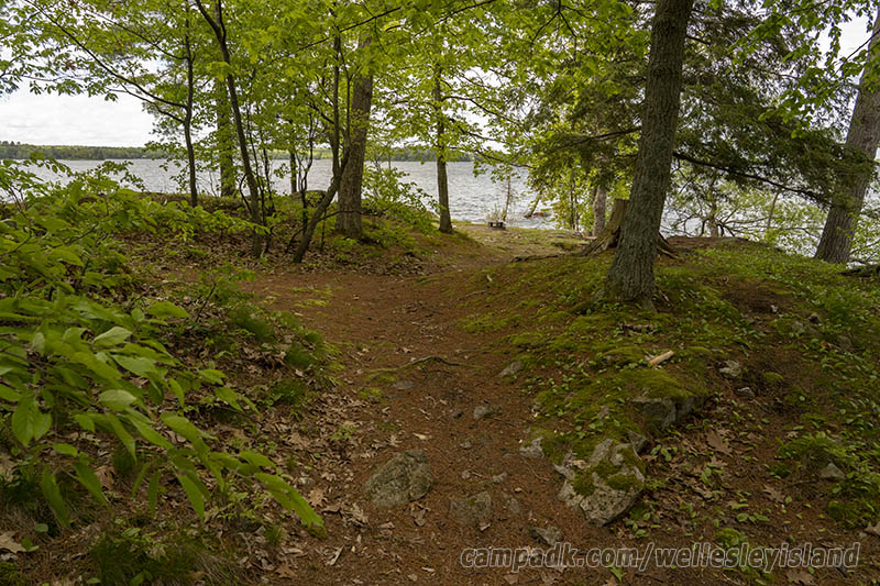 Campsite Photo of Site 19 at Wellesley Island State Park, New York - Looking at Site from Part Way In
