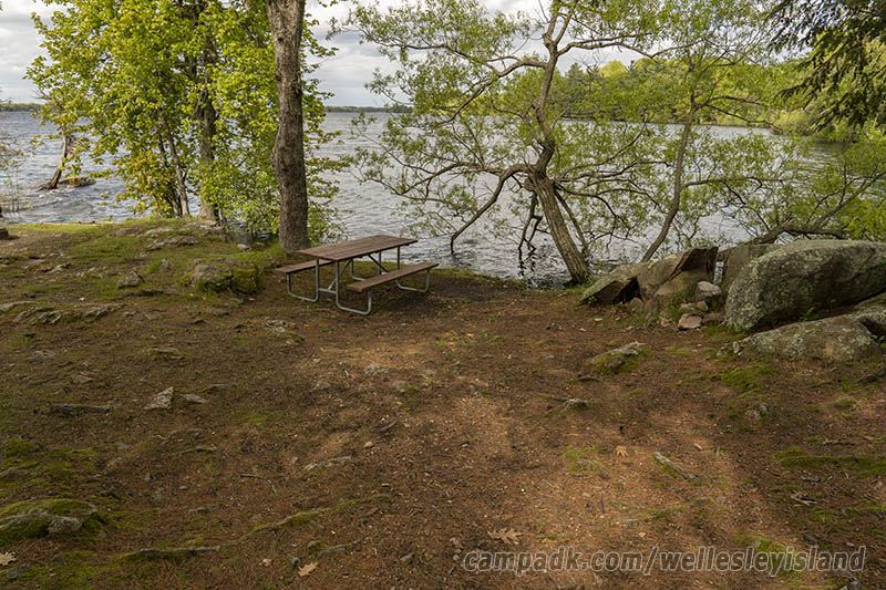 Campsite Photo of Site 19 at Wellesley Island State Park, New York - Cross Site View
