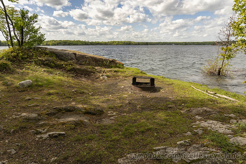 Campsite Photo of Site 19 at Wellesley Island State Park, New York - Cross Site View