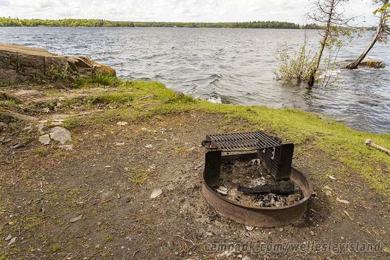 Campsite Photo of Site 19 at Wellesley Island State Park, New York - Fireplace View