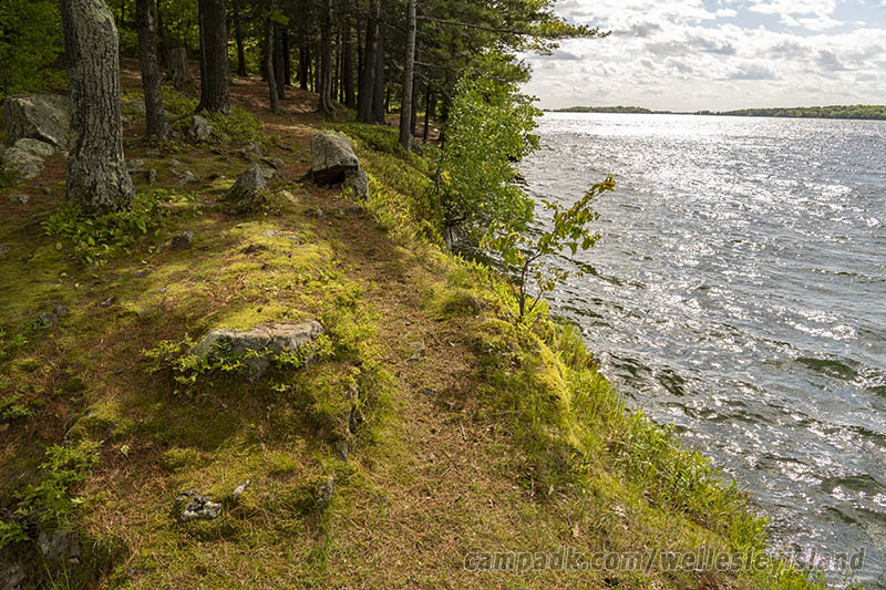Campsite Photo of Site 19 at Wellesley Island State Park, New York - Shoreline