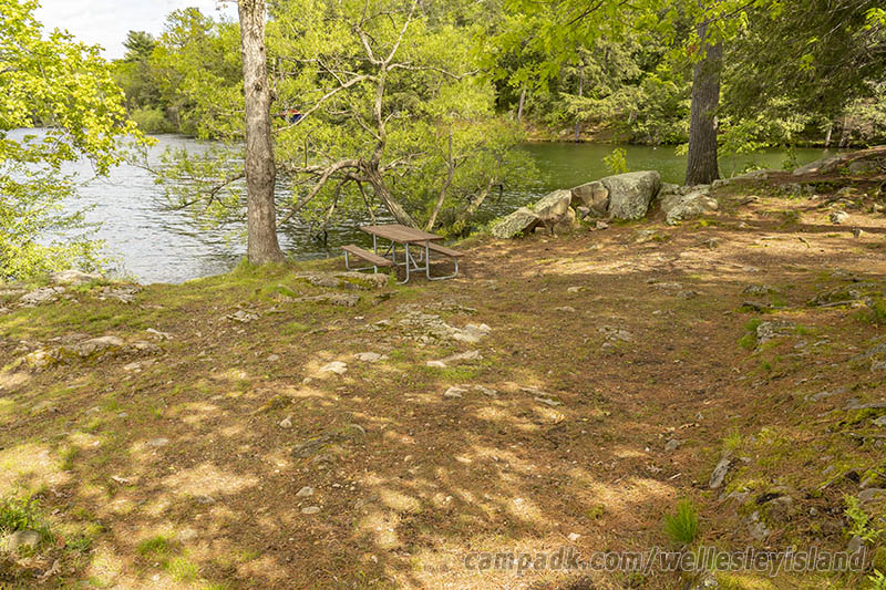 Campsite Photo of Site 19 at Wellesley Island State Park, New York - Cross Site View