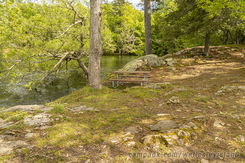 Campsite Photo of Site 19 at Wellesley Island State Park, New York - Cross Site View