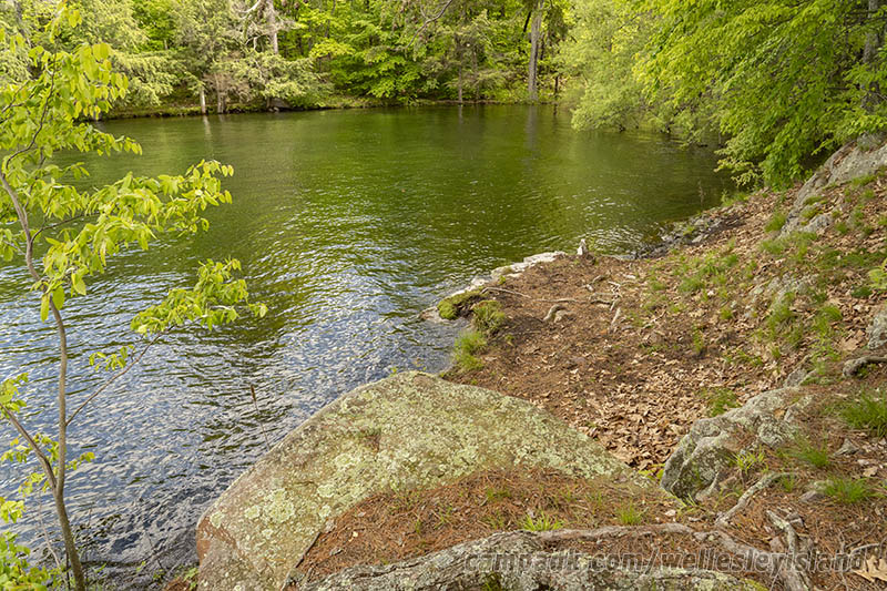 Campsite Photo of Site 19 at Wellesley Island State Park, New York - Shoreline