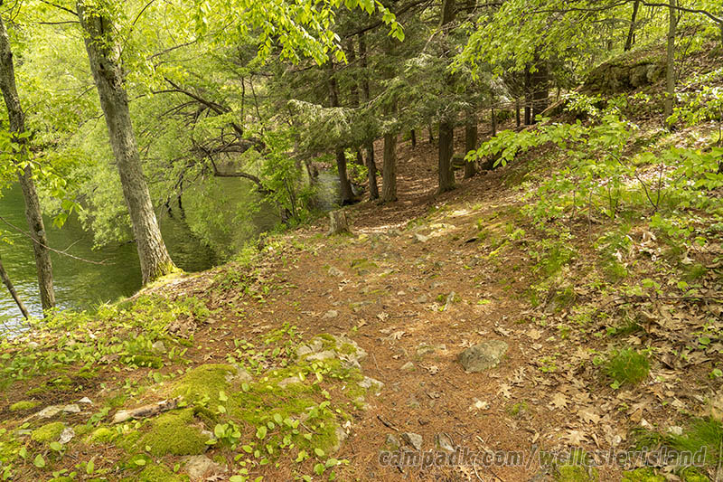 Campsite Photo of Site 19 at Wellesley Island State Park, New York - Looking Back Towards Road