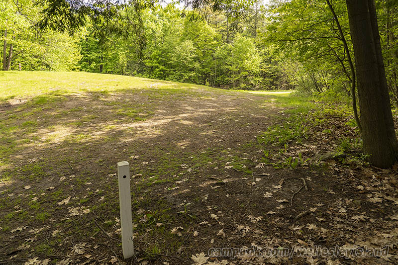 Campsite Photo of Site 19 at Wellesley Island State Park, New York - Looking Back Towards Road