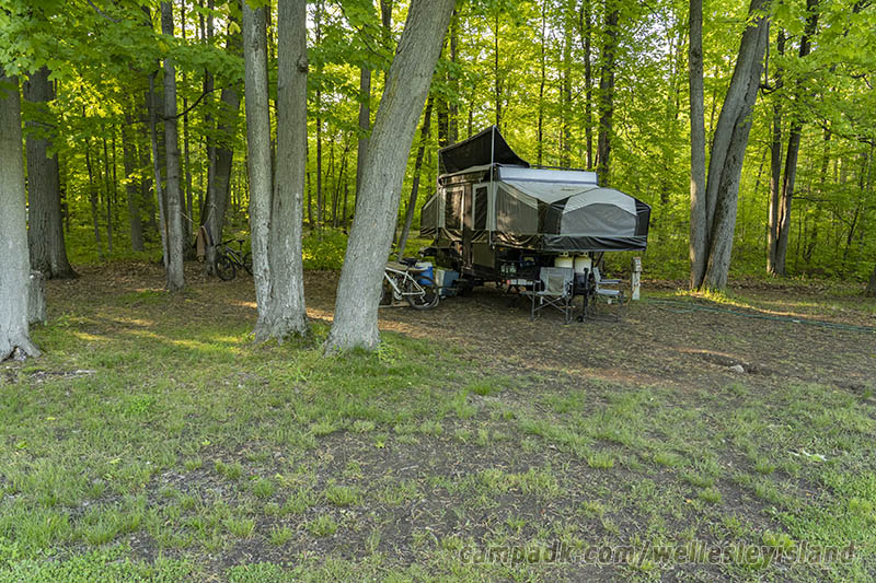 Campsite Photo of Site 19 at Wellesley Island State Park, New York - Looking at Site from Road Sign Visible