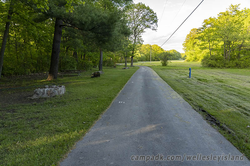 Campsite Photo of Site 19 at Wellesley Island State Park, New York - View Down Road from Campsite
