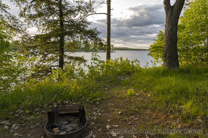 Campsite Photo of Site 77 at Wellesley Island State Park, New York - Fireplace View